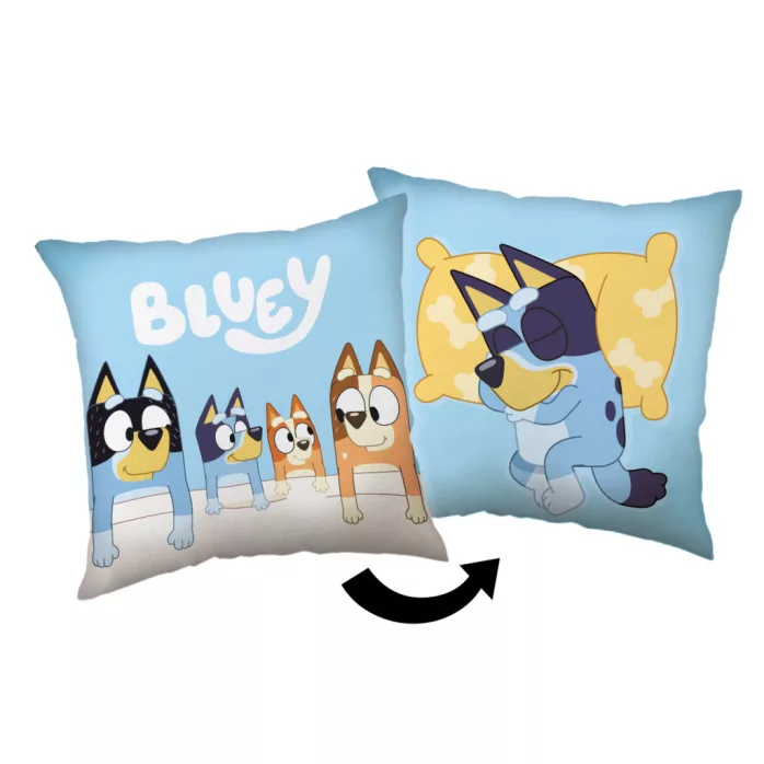 Coussin BLUEY 40 x 40 cm oreiller pour canapé chambre salon décoration