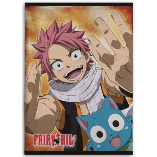 Couverture Polaire FAIRY TAIL  100 x 140 cm plaid