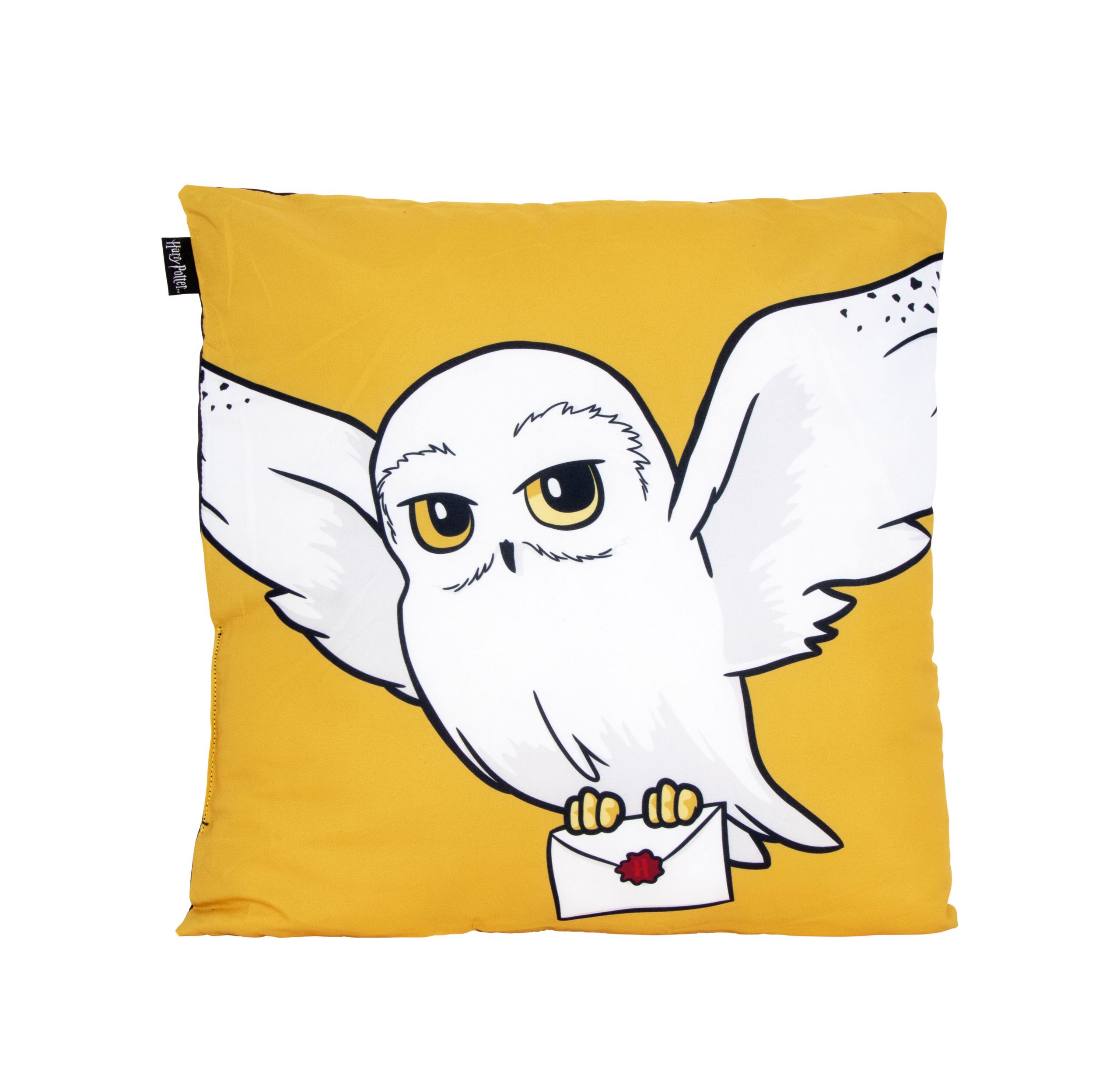 Coussin HARRY POTTER 40 x 40 cm oreiller pour canapé chambre salon décoration
